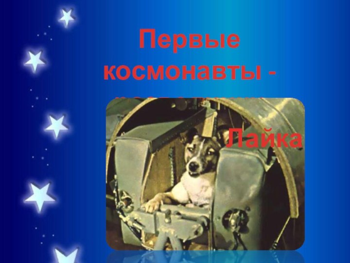 Первые космонавты - разведчикиЛайка