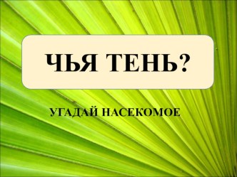 Презентация ЧЬЯ ТЕНЬ презентация к уроку по окружающему миру (младшая, средняя группа)