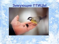 Презентация к занятию Зимующие птицы презентация к уроку по окружающему миру (средняя группа)