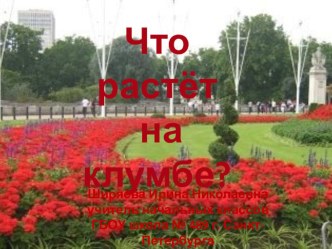 Что растёт на клумбе?. Презентация к уроку окружающего мира 1 класса. презентация к уроку по окружающему миру (1 класс) по теме