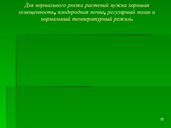 Для нормального роста растений нужна хорошая освещенность, плодородная почва, регулярный полив и