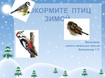 Проект Птицы зимой методическая разработка по чтению (3 класс) по теме