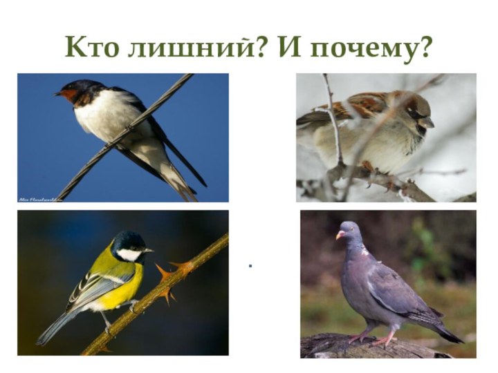 Кто лишний? И почему?