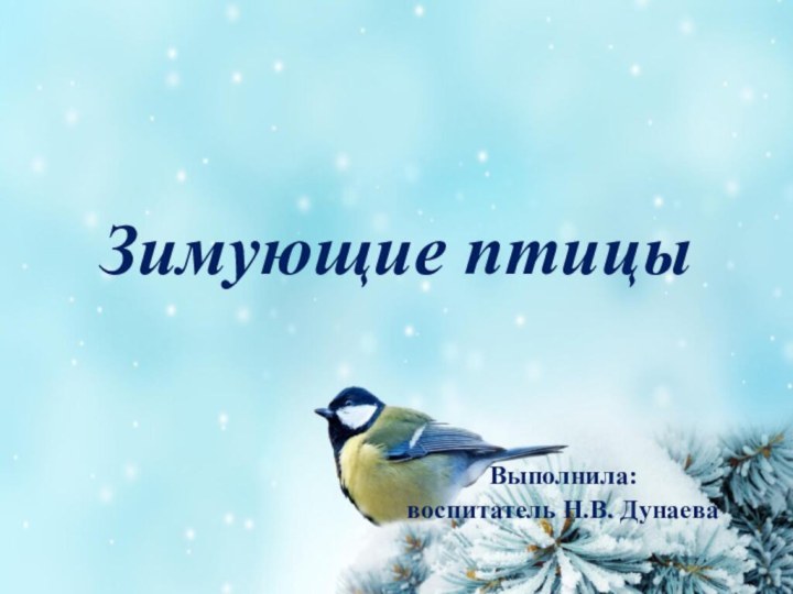 Зимующие птицыВыполнила: воспитатель Н.В. Дунаева