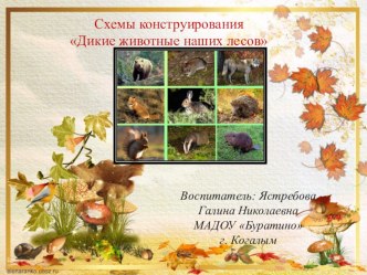 Схемы по конструированию из природного и бросового материала ДИКИЕ ЖИВОТНЫЕ презентация к уроку по конструированию, ручному труду (старшая, подготовительная группа) по теме