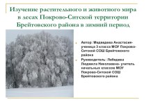 Исследовательская работа Изучение растительного и животного мира в лесах Покрово-Ситской территории Брейтовского района в зимний период материал