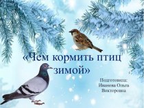 Чем кормить птиц зимой презентация к уроку по окружающему миру (старшая группа)