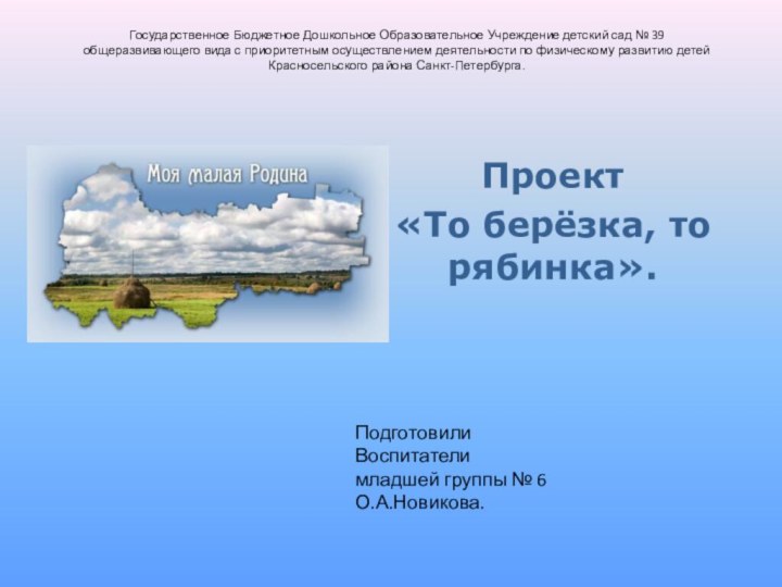 Государственное Бюджетное Дошкольное Образовательное Учреждение детский сад № 39 общеразвивающего вида с