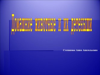 Презентация Домашние животные презентация к уроку по окружающему миру (1 класс)