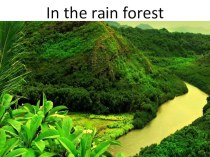 In the rain forest В тропическом лесу презентация к уроку по иностранному языку (4 класс)