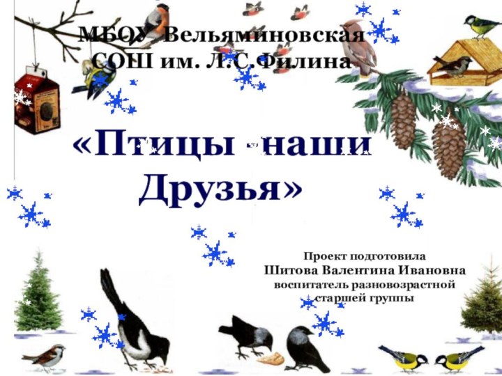 МБОУ ВельяминовскаяСОШ им. Л.С.Филина«Птицы -нашиДрузья»Проект подготовилаШитова Валентина Ивановнавоспитатель разновозрастнойстаршей группы