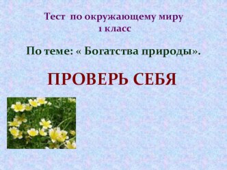 Тест по окружающему миру Проверь себя. тест по окружающему миру (1 класс) по теме