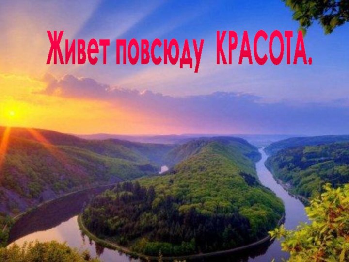 Живет повсюду КРАСОТА.