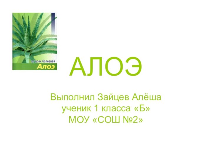 АЛОЭВыполнил Зайцев Алёша   ученик 1 класса «Б»