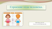 Строение тела человека презентация урока для интерактивной доски по зож