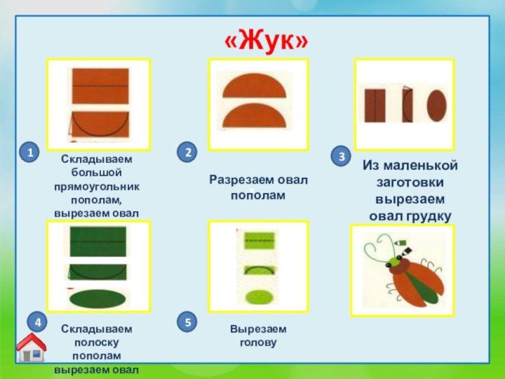 ««Жук» Складываем большой прямоугольник пополам, вырезаем овалРазрезаем овал пополамИз маленькой заготовки вырезаем