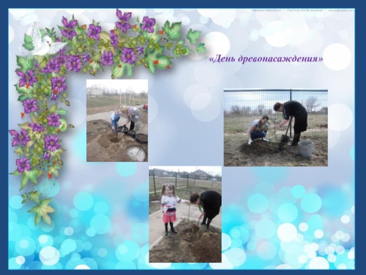 «День древонасаждения»