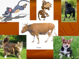 Занятие в подготовительной группе по английскому языку по теме У меня есть питомцы презентация к занятию (подготовительная группа) по теме