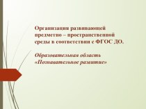 Организация развивающей предметно-пространственной среды в соответствии с ФГОС ДО. Образовательная область Познавательное развитие презентация