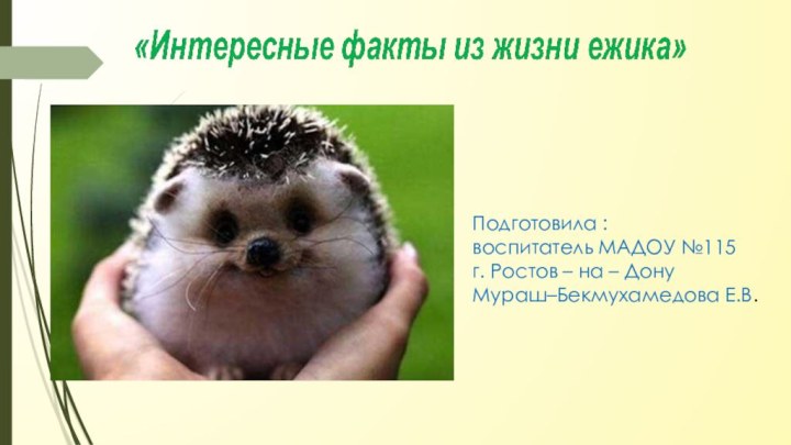 Подготовила :воспитатель МАДОУ №115г. Ростов – на – ДонуМураш–Бекмухамедова Е.В.Подготовила :воспитатель МАДОУ
