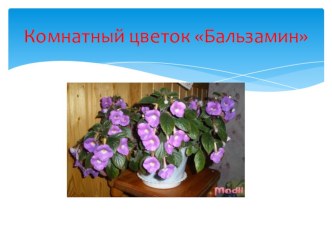 Научно-практическая конференция Шажок в будущее ДОУ Сардана опыты и эксперименты (подготовительная группа)