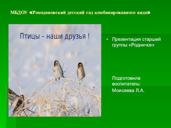 МБДОУ «Ромодановский детский сад комбинированного вида»Презентация старшей группы «Родничок»   Подготовила