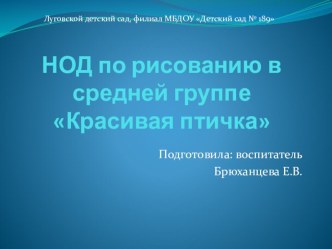 НОД Красивая птичка план-конспект занятия по рисованию (средняя группа)