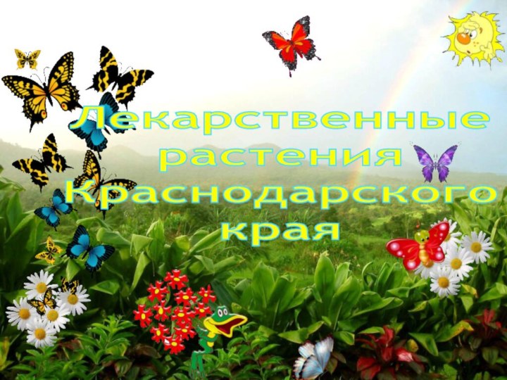 Лекарственные  растенияКраснодарскогокрая