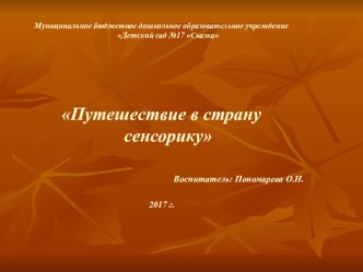 Презентация Путешествие в страну Сенсорику презентация к уроку (младшая группа)