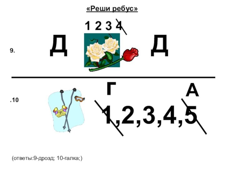 «Реши ребус»(ответы:9-дрозд; 10-галка;)9.