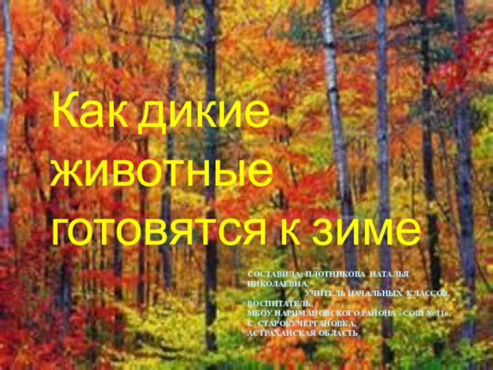 Как дикие животные готовятся к зимеСоставила: Плотникова Наталья Николаевна,