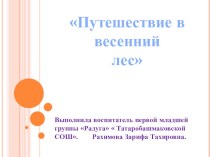 Социально-коммуникативное развитие НОД Путешествие в весенний лес-1 младшая группа план-конспект занятия (младшая группа)