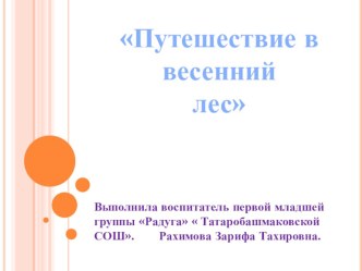 Социально-коммуникативное развитие НОД Путешествие в весенний лес-1 младшая группа план-конспект занятия (младшая группа)
