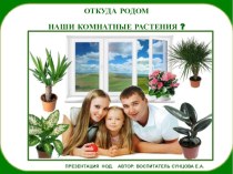 ПРЕЗЕНТАЦИЯ ОТКУДА РОДОМ НАШИ КОМНАТНЫЕ РАСТЕНИЯ? презентация к уроку по окружающему миру (подготовительная группа) по теме