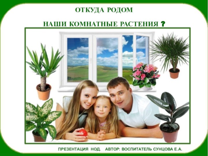 ОТКУДА РОДОМ   НАШИ КОМНАТНЫЕ РАСТЕНИЯ ?ПРЕЗЕНТАЦИЯ НОД.  АВТОР: ВОСПИТАТЕЛЬ СУНЦОВА Е.А.