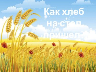 Как хлеб на стол пришел? проект (старшая группа)