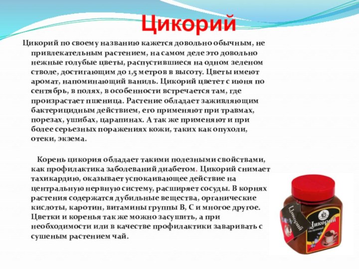 Цикорий Цикорий по своему названию кажется довольно обычным, не привлекательным растением, на