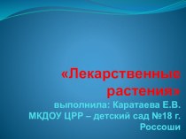 Лекарственные растения презентация к уроку (подготовительная группа)