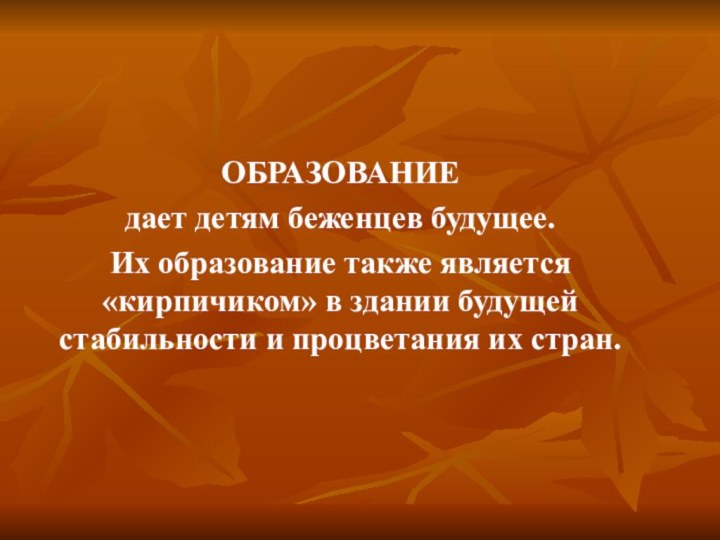 ОБРАЗОВАНИЕдает детям беженцев будущее. Их образование также является «кирпичиком» в здании будущей