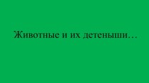 Презентация Животные и их детеныши презентация по окружающему миру