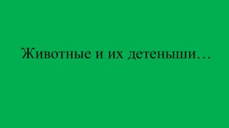 Презентация Животные и их детеныши презентация по окружающему миру