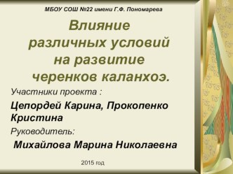 Исследовательская работа по окружающему миру проект по окружающему миру (4 класс) по теме