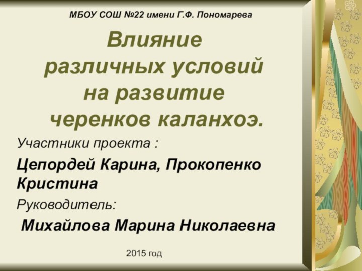 Влияние  различных условий  на развитие   черенков каланхоэ.Участники проекта