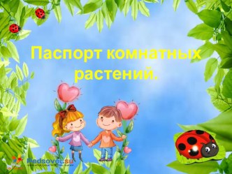 паспорт конатных растений картотека (средняя группа)