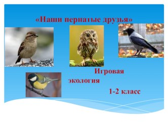 Наши пернатые друзья методическая разработка (2 класс) по теме