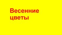 презентациявесенние цветы презентация по окружающему миру