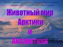 Презентация