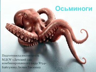 Морские обитатели. Осьминоги презентация к уроку по окружающему миру (подготовительная группа)