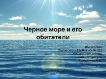 Черное море и его обитатели презентация к уроку по развитию речи (старшая группа)