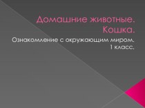 Презентация Домашние животные. Кошка. презентация к уроку логопедии (1 класс) по теме